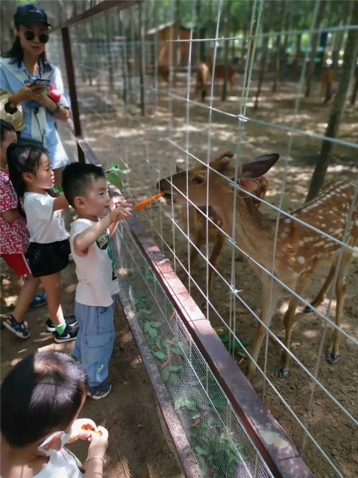 鄭州潘多拉森林動物王國
