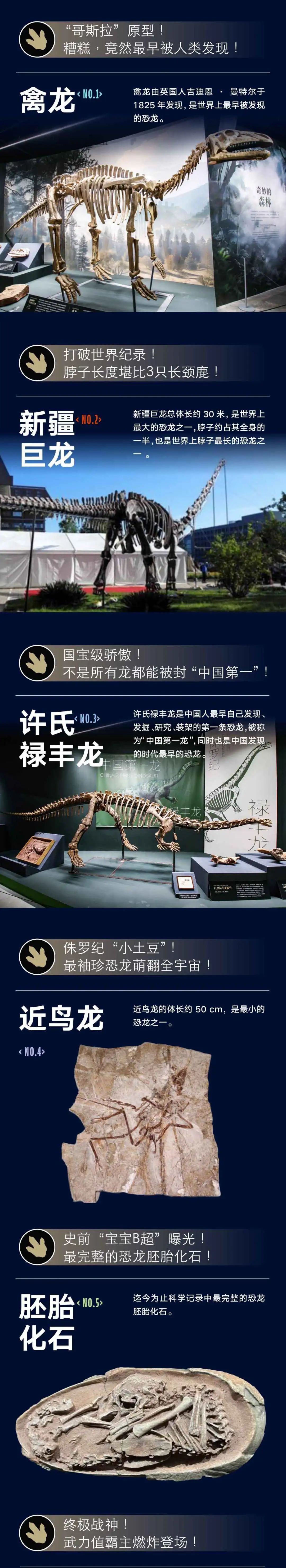 遇见博物馆杭州馆