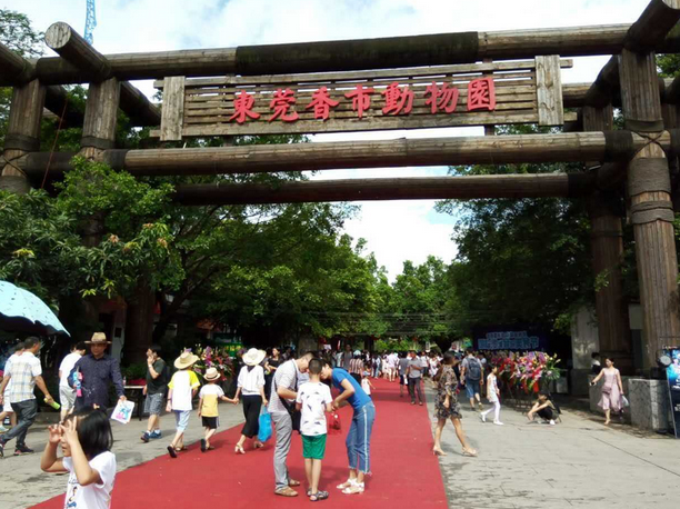 2025東莞香市動(dòng)物園門(mén)票多少錢(qián)(附優(yōu)惠政策+購(gòu)票入口+地鐵信息)