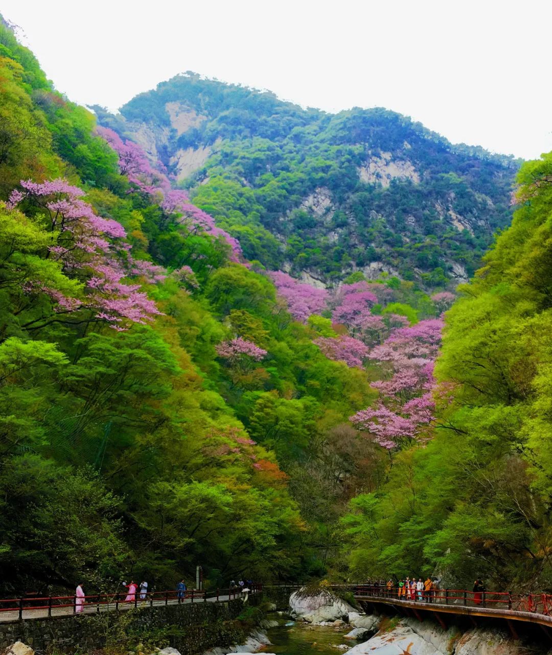 太平國(guó)家森林公園