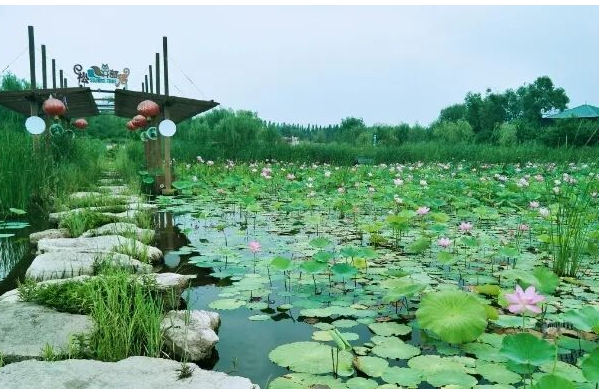 龍居桃花島旅游度假區(qū)