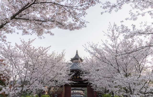 南京牛首山風(fēng)景區(qū)