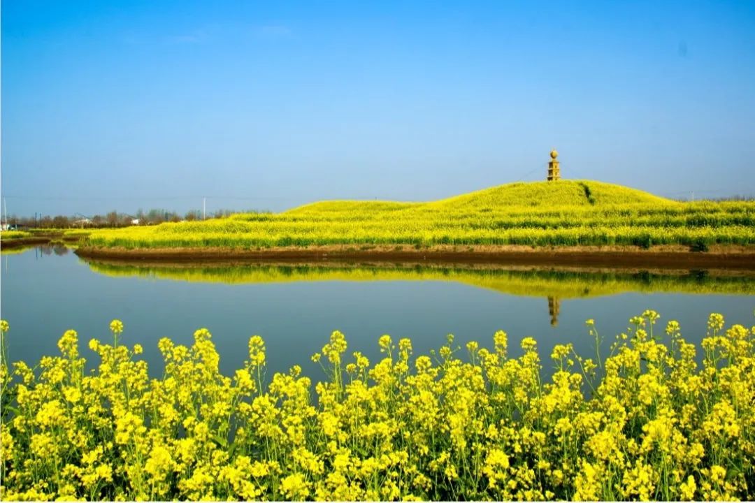 蘭陵國家農(nóng)業(yè)公園