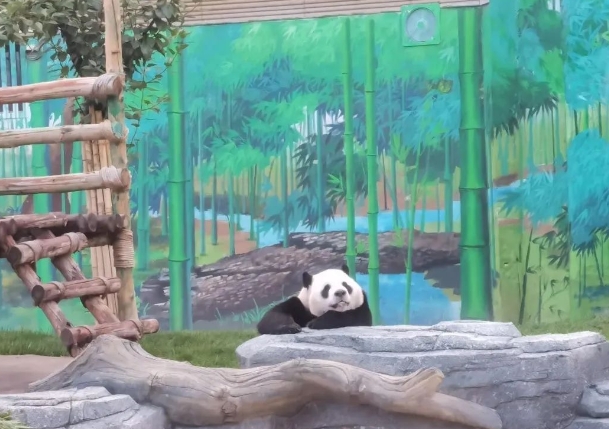 蘭州野生動物園