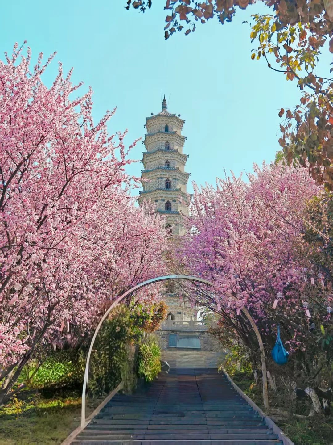 阜陽生態(tài)樂園