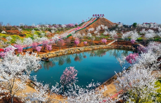 岳陽(yáng)櫻花園