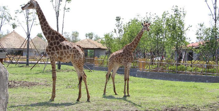 龍沙動(dòng)植物園