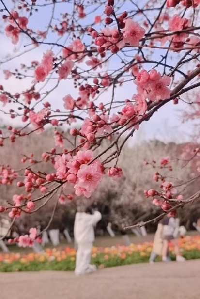 成都植物園