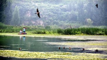 2025安陽萬泉湖門票多少錢(附地址+開放時間+景區(qū)簡介)