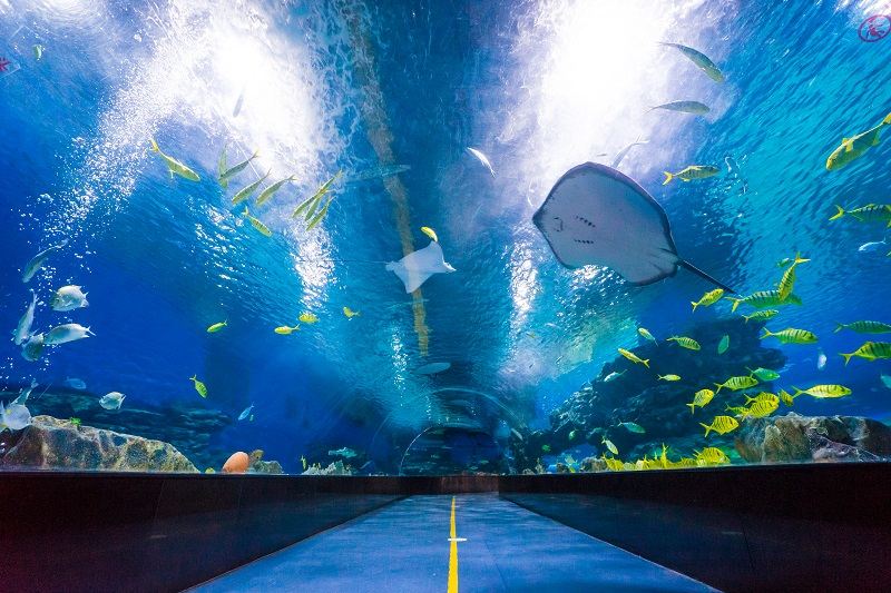 天津海昌極地海洋公園