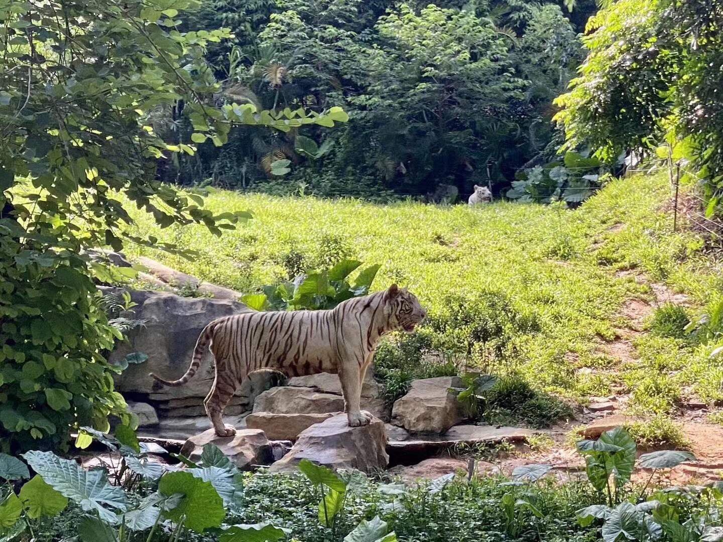 廣州動物園