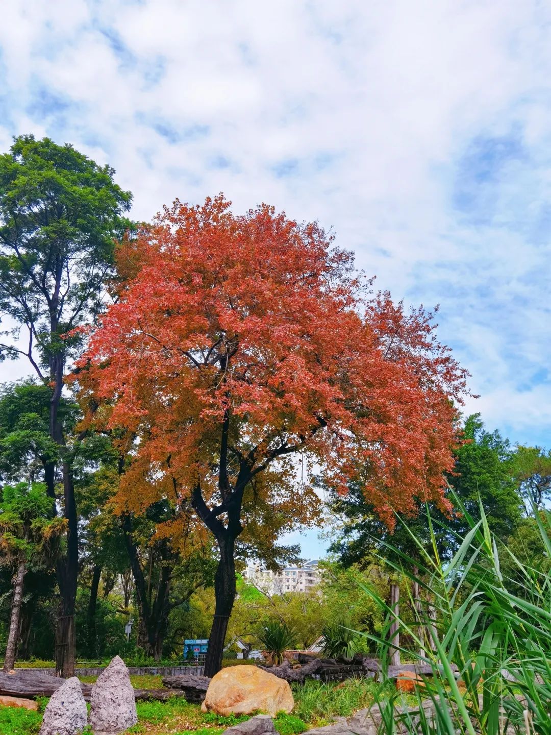 廣州動(dòng)物園