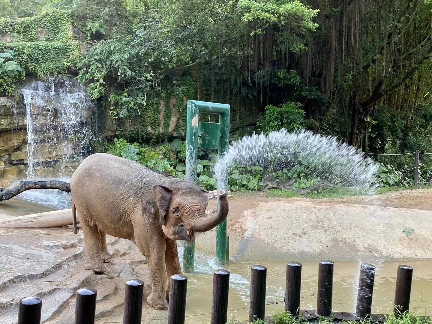 廣州動物園