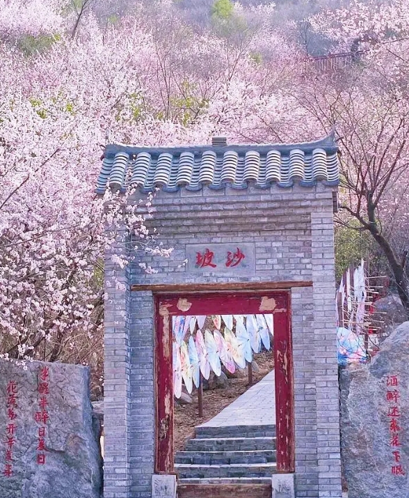 鄭國(guó)渠旅游風(fēng)景區(qū)