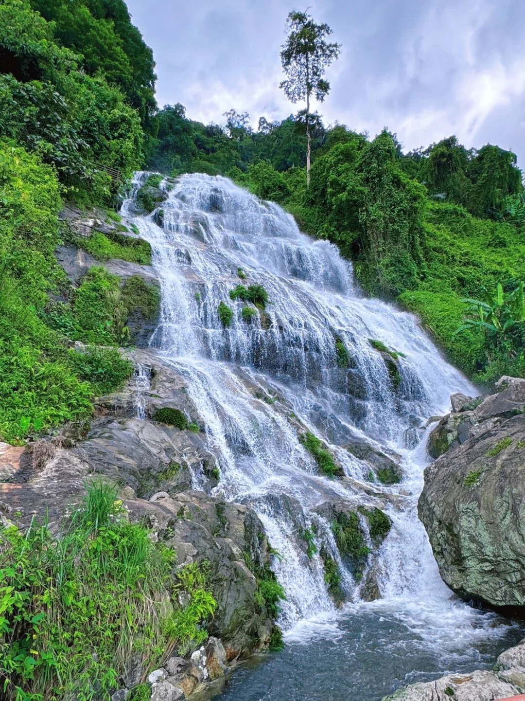 海南百花嶺