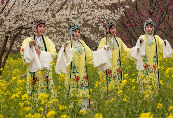 滎陽古柏渡豐樂櫻花園