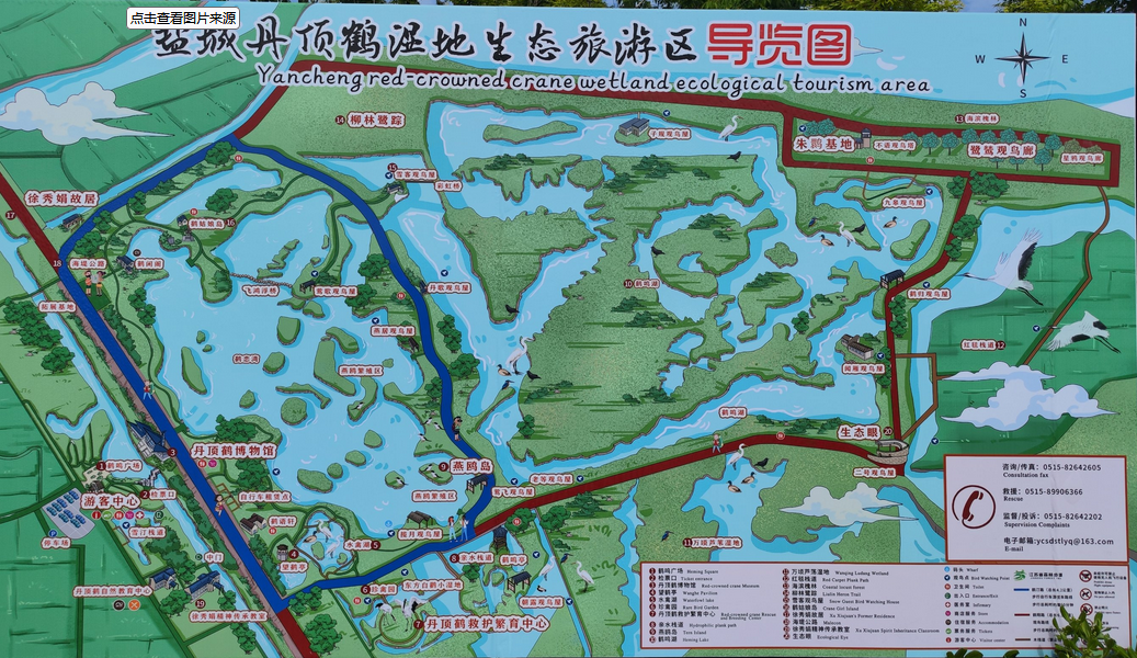 2025鹽城丹頂鶴濕地公園游玩攻略(附門票價格+導覽圖片+公園亮點)