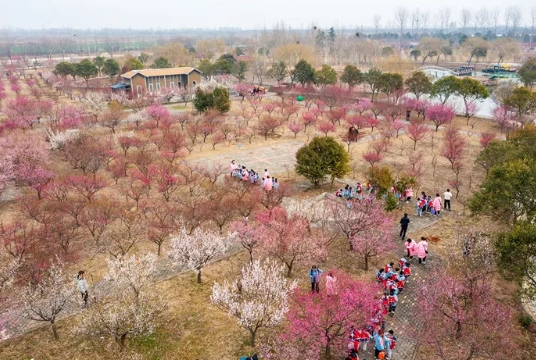 鄭州黃河梅園