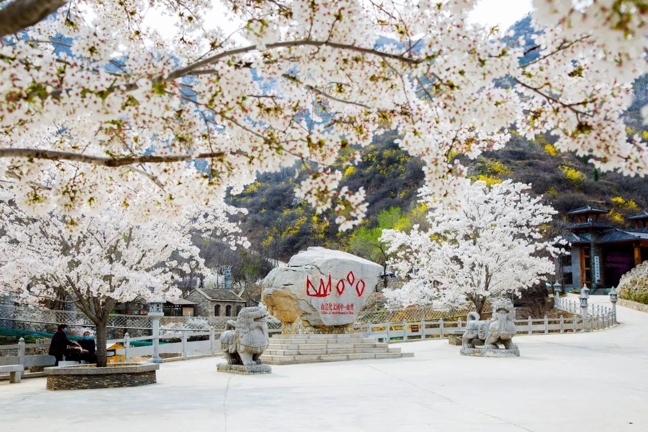 2025淄博齊山風(fēng)景區(qū)門票價格+購票入口+時間表+介紹