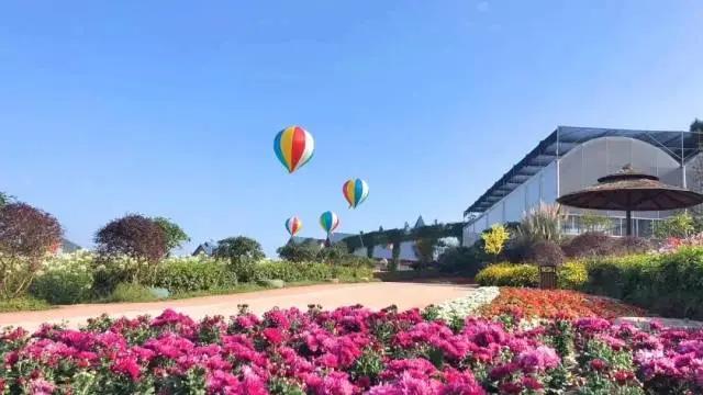 德陽香山壽香谷