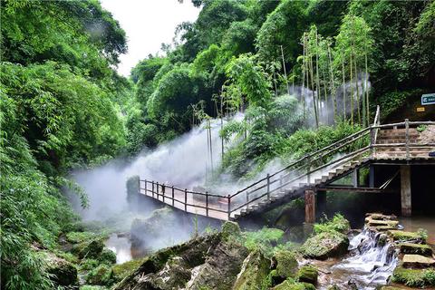 川西竹海景區(qū)優(yōu)美景色.jpg