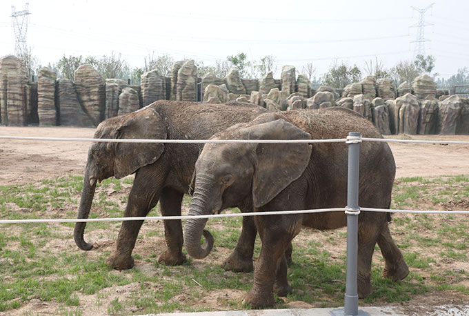 濮陽東北莊野生動物園