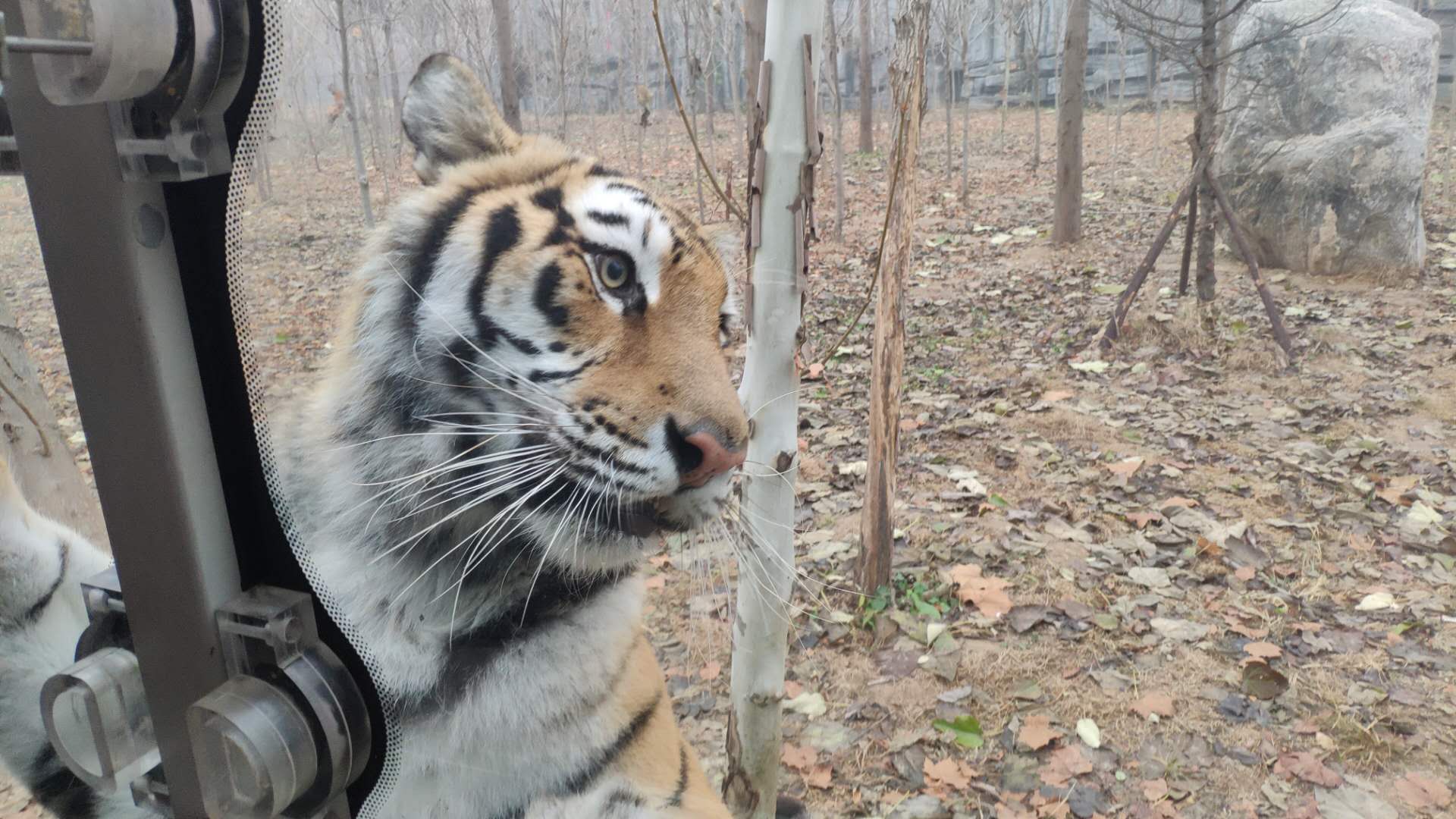 濮陽東北莊野生動物園