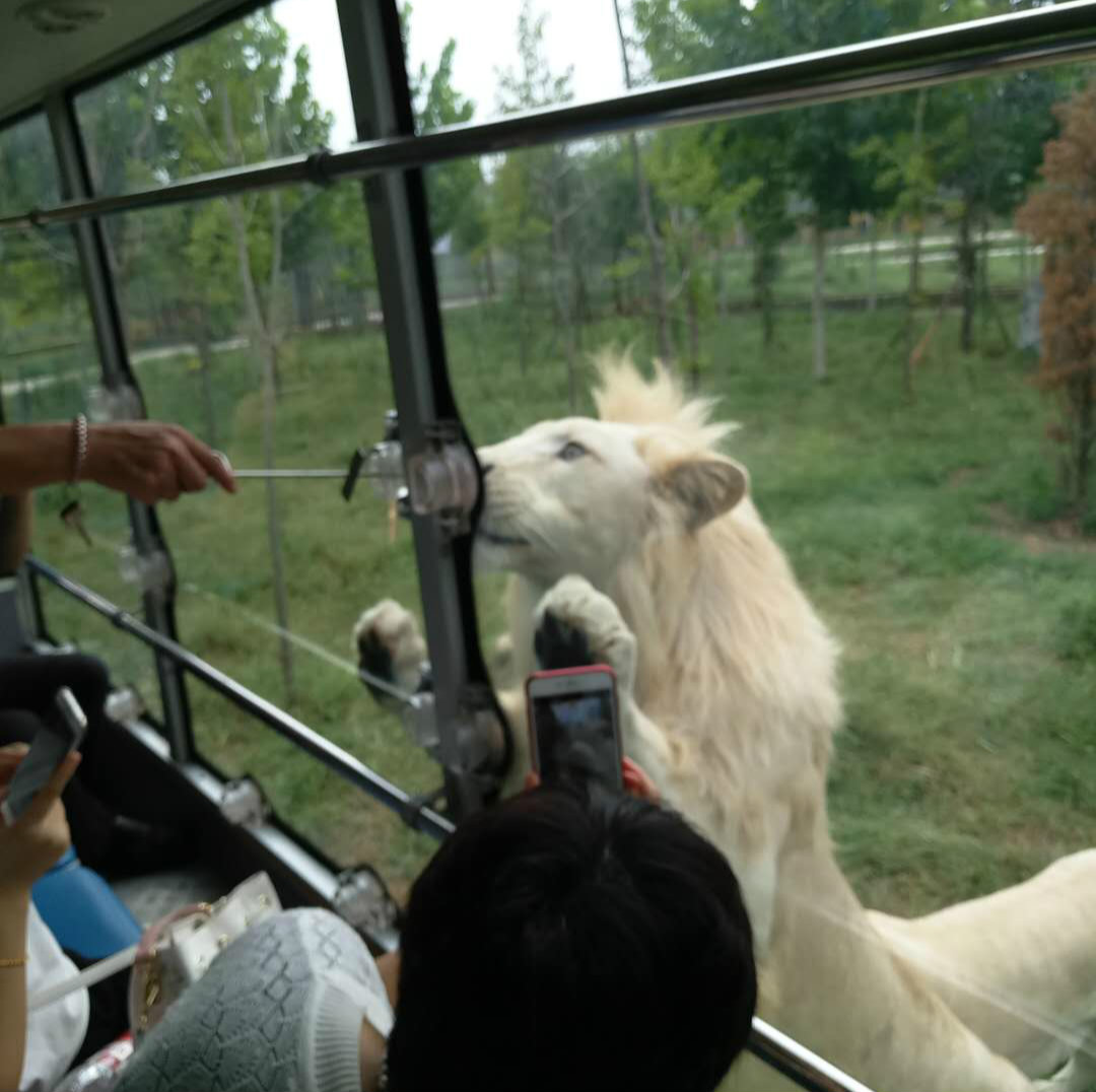 濮陽野生動物園3.jpg