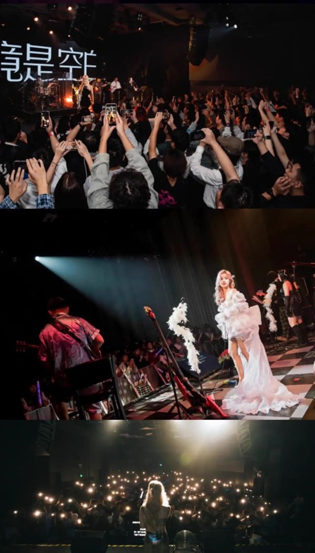 張葉蕾鄭州演唱會3.jpg