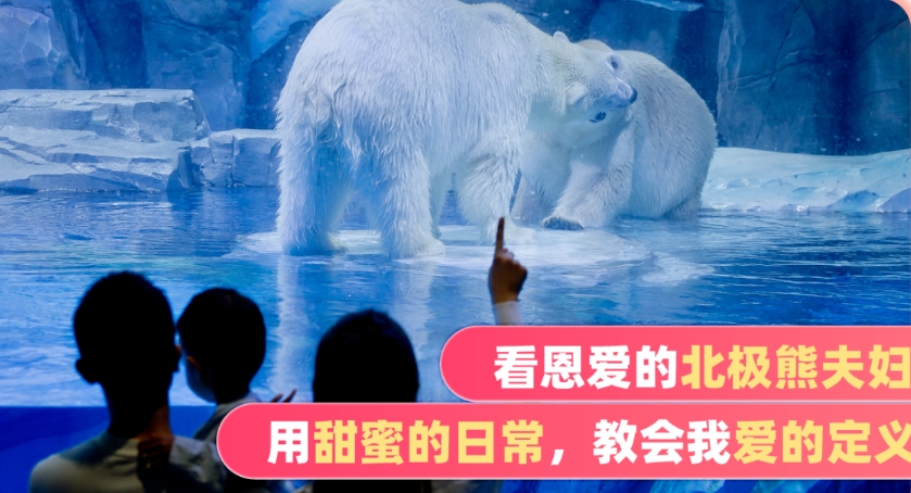 鄭州海昌海洋旅游度假區(qū)