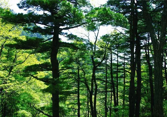 洛陽木札嶺風景區(qū)
