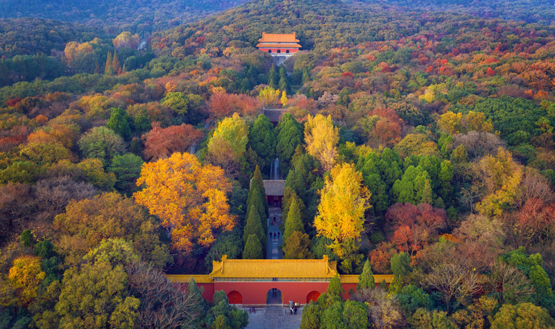 2025南京鐘山風(fēng)景名勝區(qū)門票價(jià)格+地址+游覽路線+游玩亮點(diǎn)