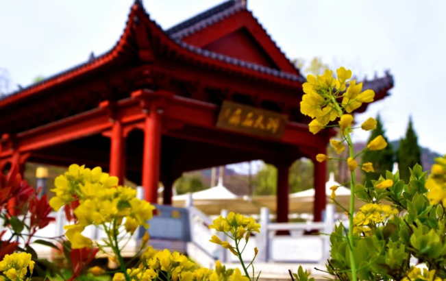 a965a7596ed818c72221d5df0cc36314.png