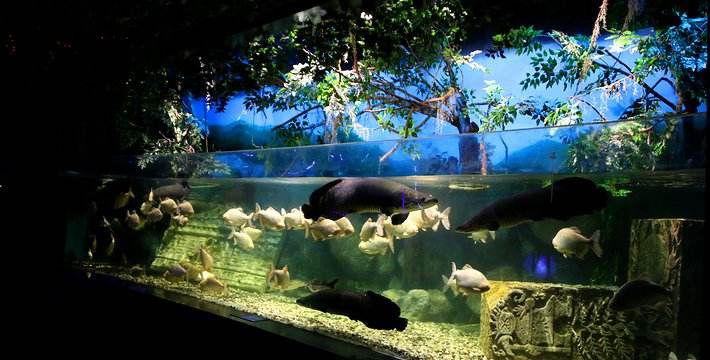 /uploads/image/2025/05/10/0b66b2ba7552cde8f963bba0e78ac1b3.jpg