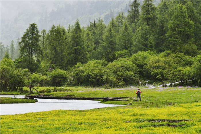 四姑娘山長坪溝景區(qū)