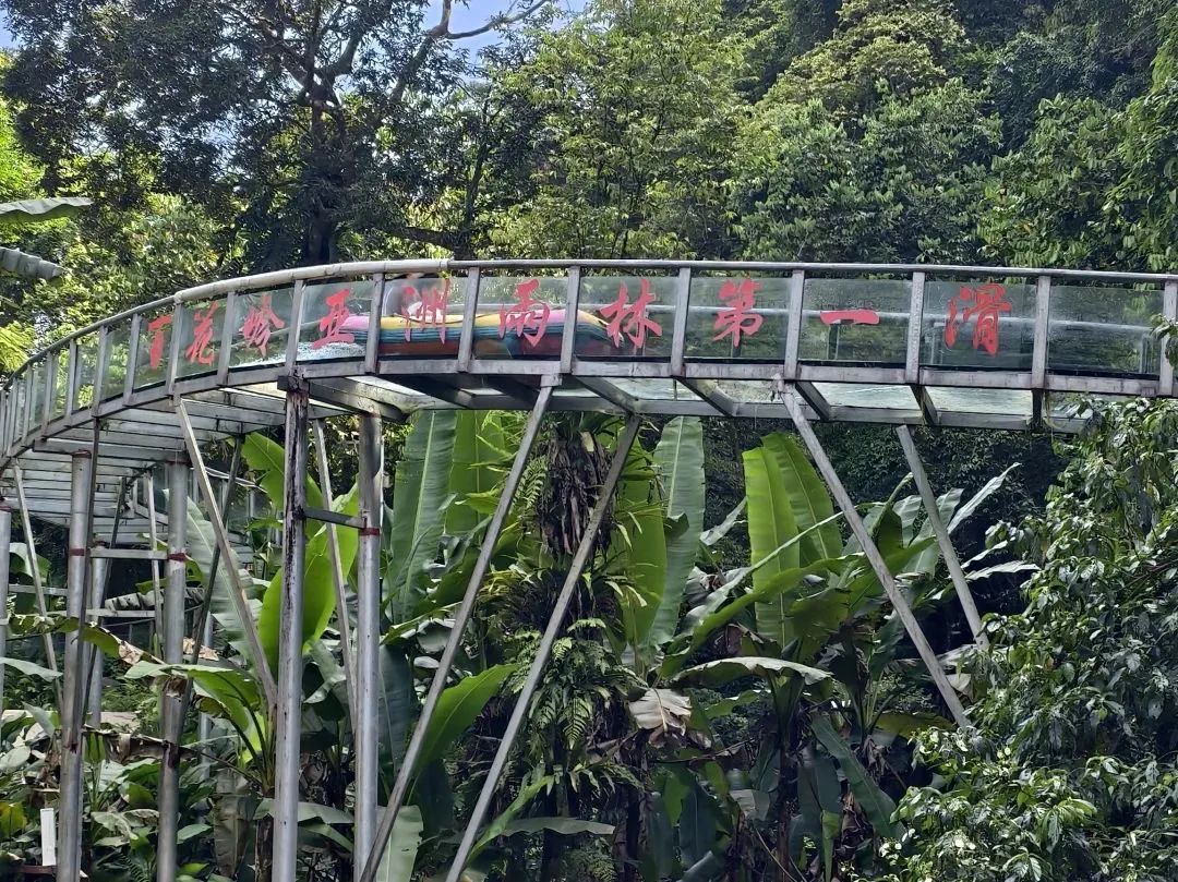 海南百花嶺