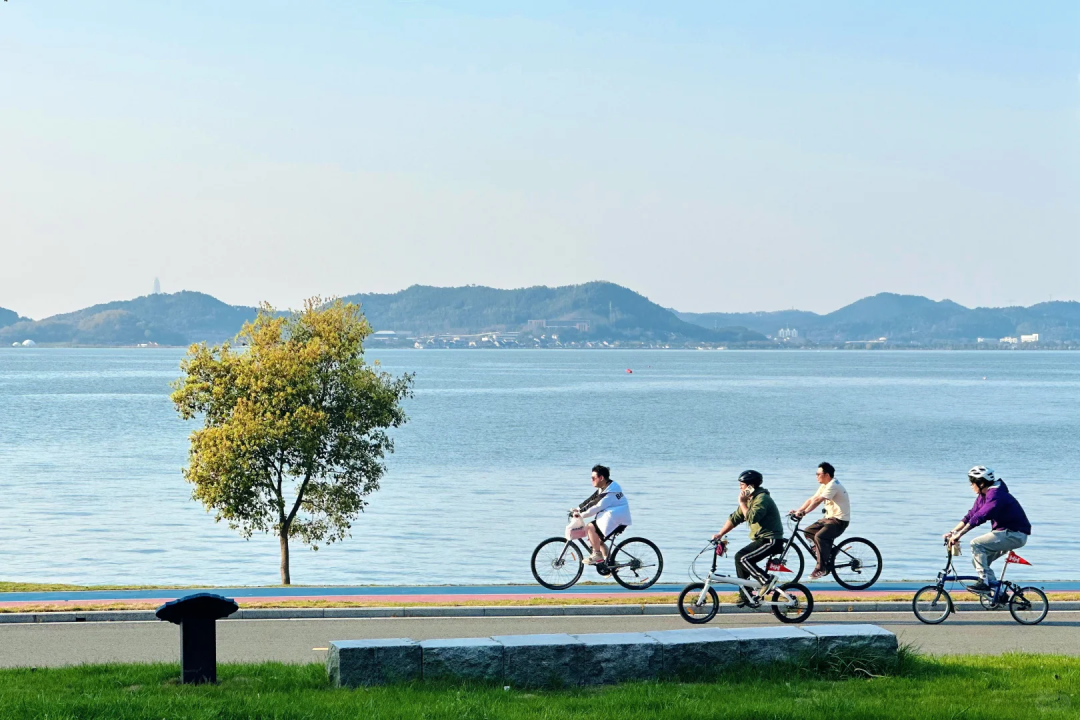 浙江文旅體惠民年卡
