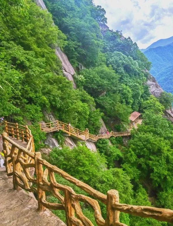 魯山畫眉谷