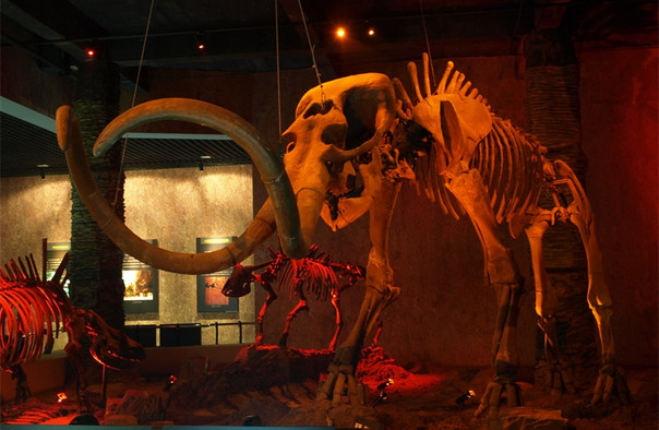 10081h000001hpki7C0D9_C_604_394_Q90.jpg