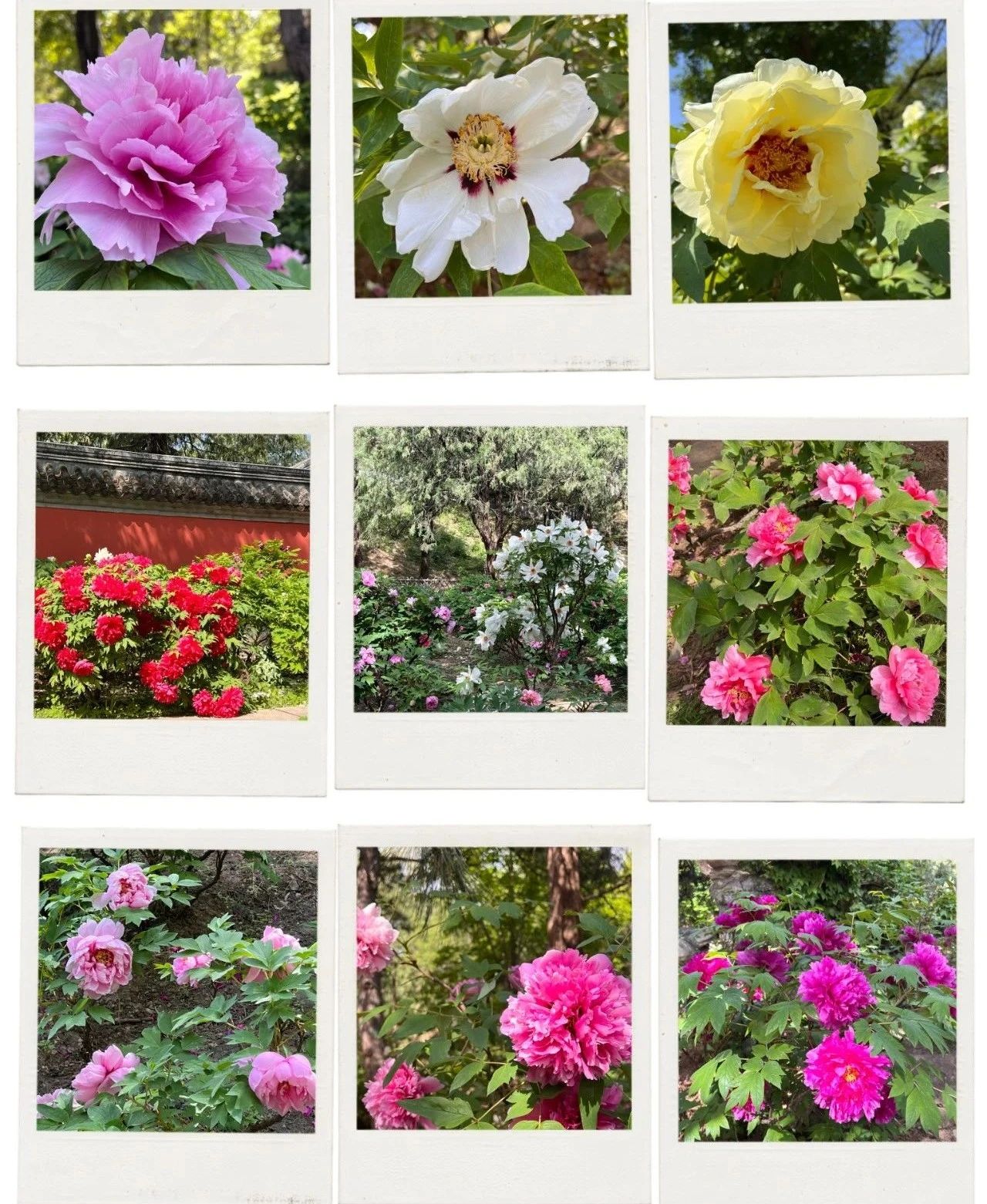 北京植物園