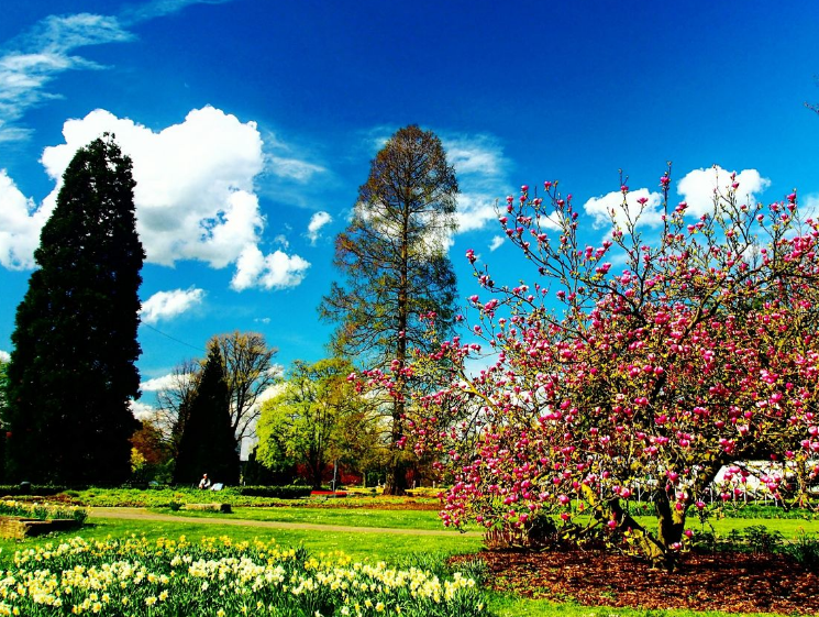 /uploads/image/2025/05/14/abf1535a0fad767f49443d6fbdc9f545.png