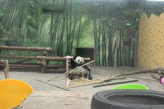 揚(yáng)州世博園