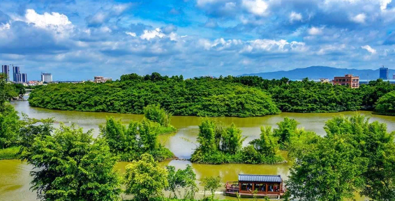 江門小鳥天堂