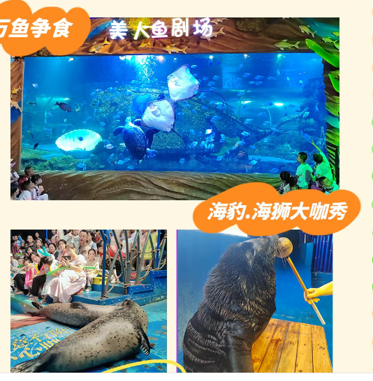 /uploads/image/2025/05/15/e6ebc500cb94c266191c5728f82f1c0b.png