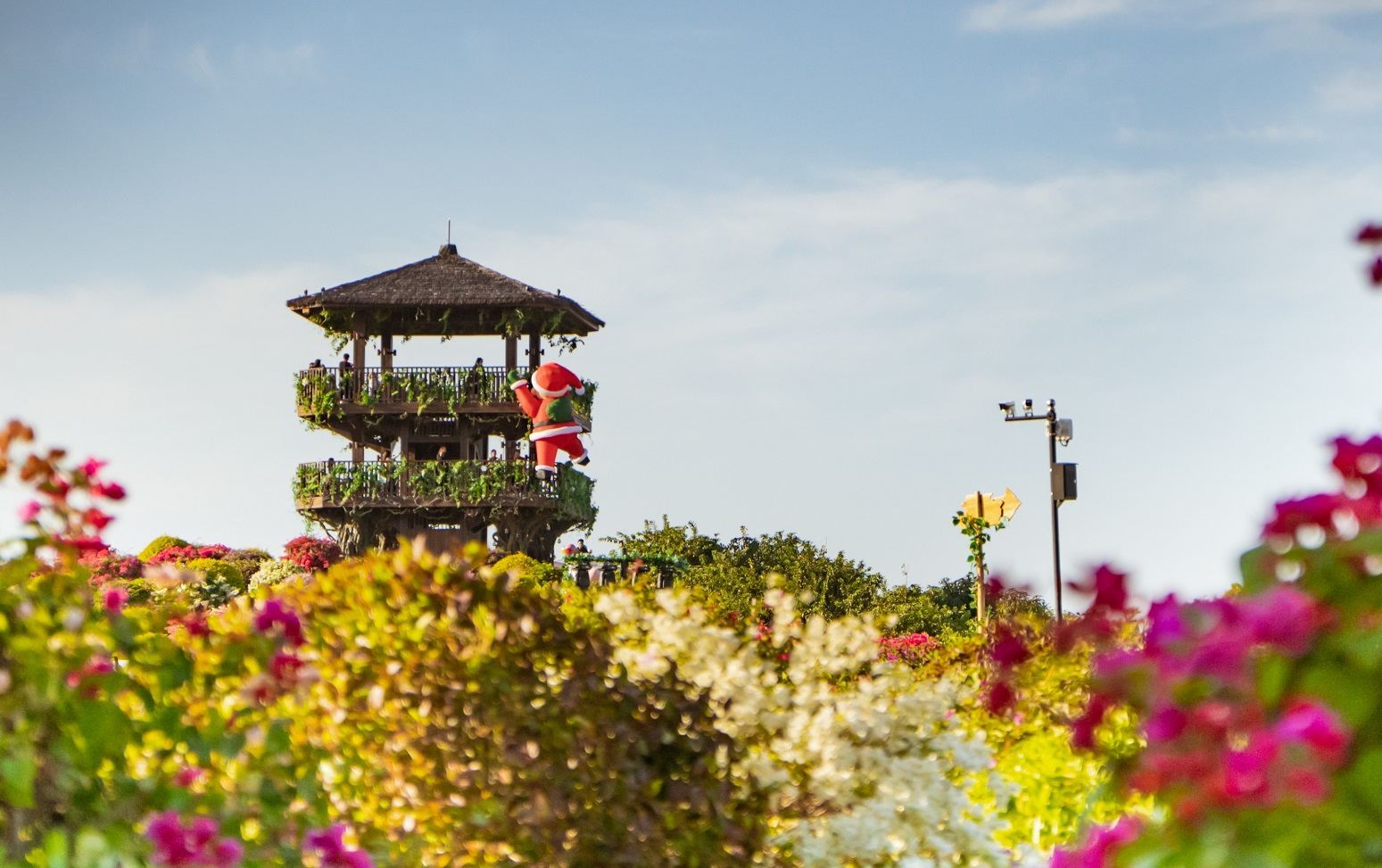 千花洲旅游度假區(qū)