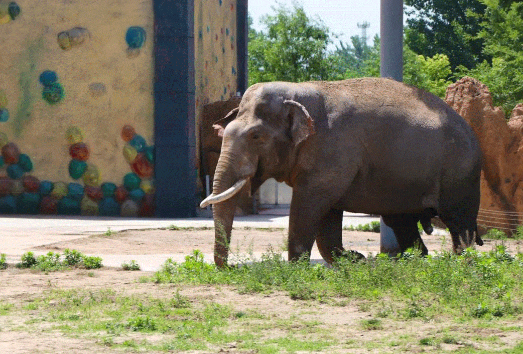 周口野生動物世界