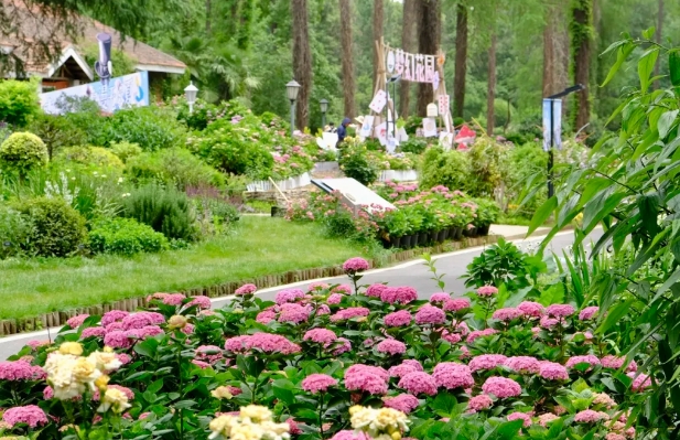 武漢植物園