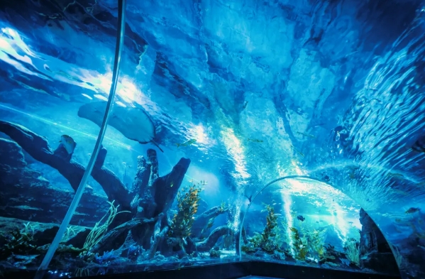 溫州極地海洋世界
