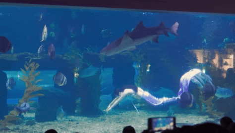 臺(tái)州海洋世界