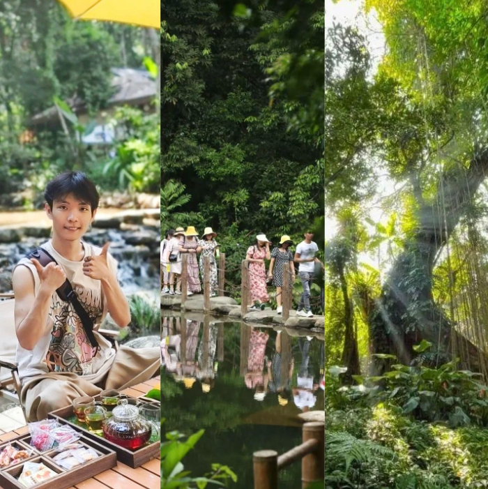 海南百花嶺